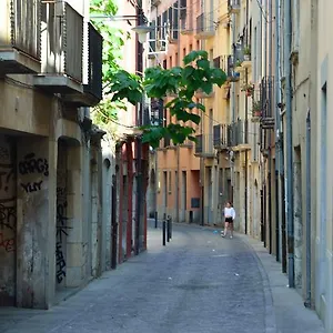  Appartamento Housing Ginesta 9 Spagna